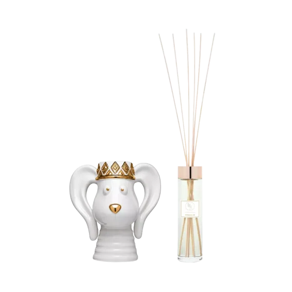 Addictive Life Diffuser Set