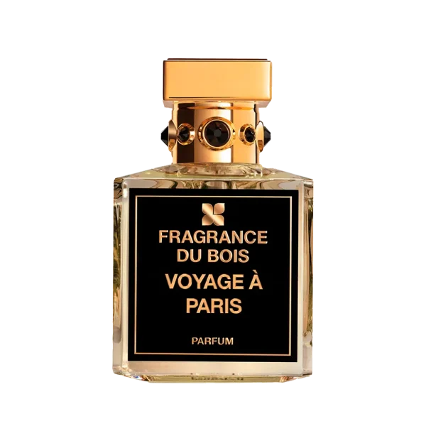 Voyage À Paris