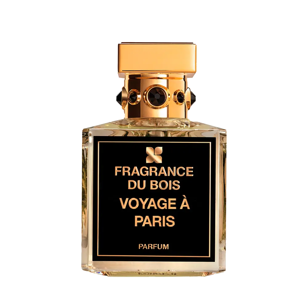 Voyage À Paris